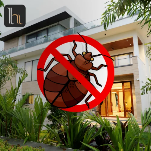 Bed Bugs Control Villa 2000 - 3000